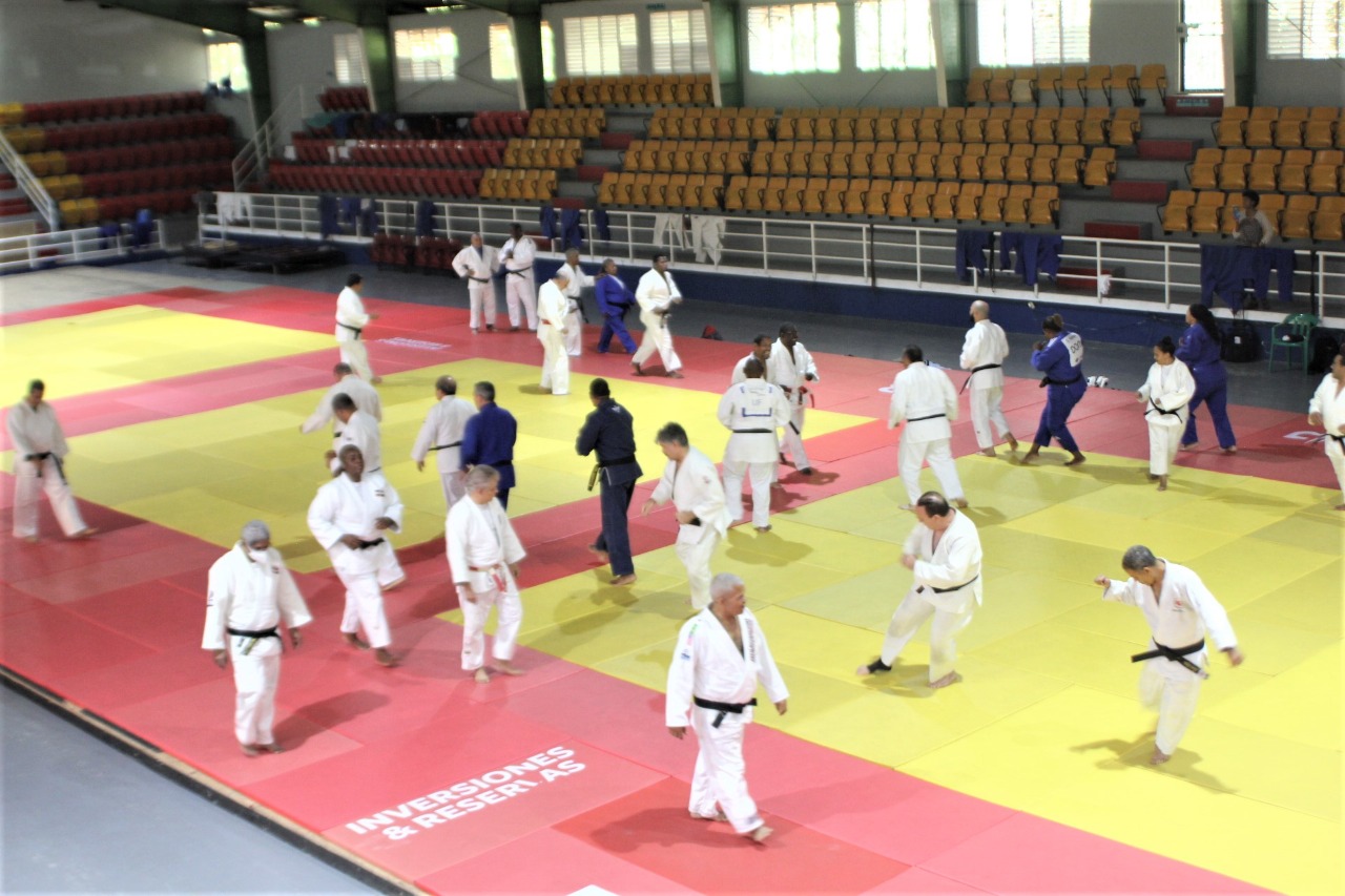 Parte de las rutinas de ejercicios realizadas por los veteranos del judo.